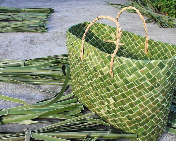 Palm Leaf Packaging