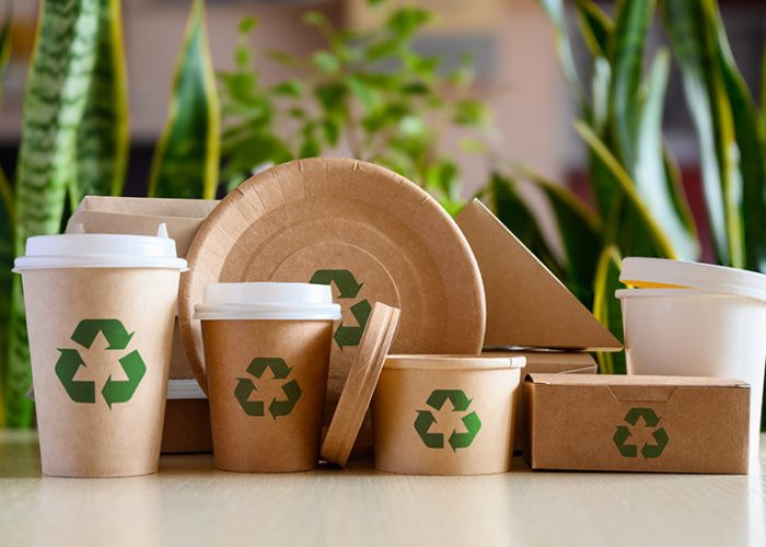 Recycle Paper Ice Cream Cartons
